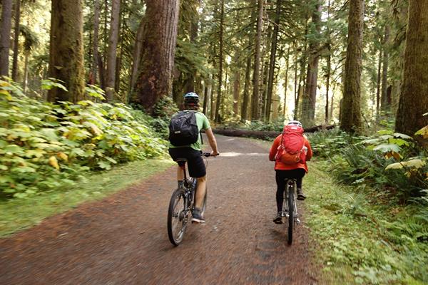 Two bicyclists ride through a forest on a narrow gravel road.