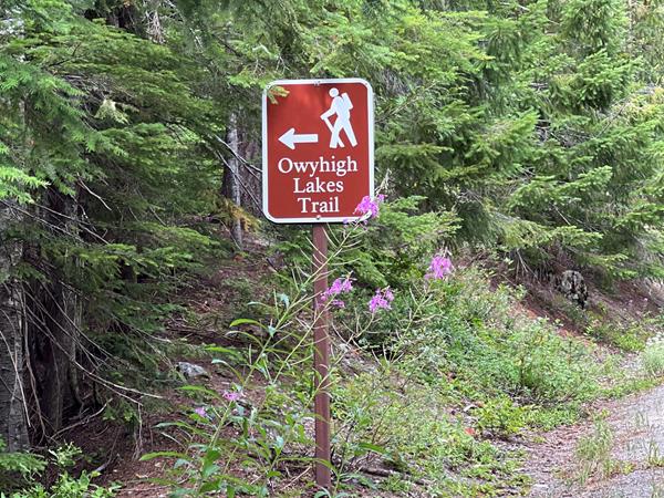 A small brown rectangular sign with a white silhouette of a hiker marks a trailhead