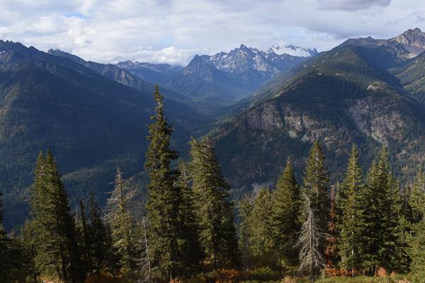 A view looking down a forested mountain valley, with rugged snow-capped peaks in the distance.