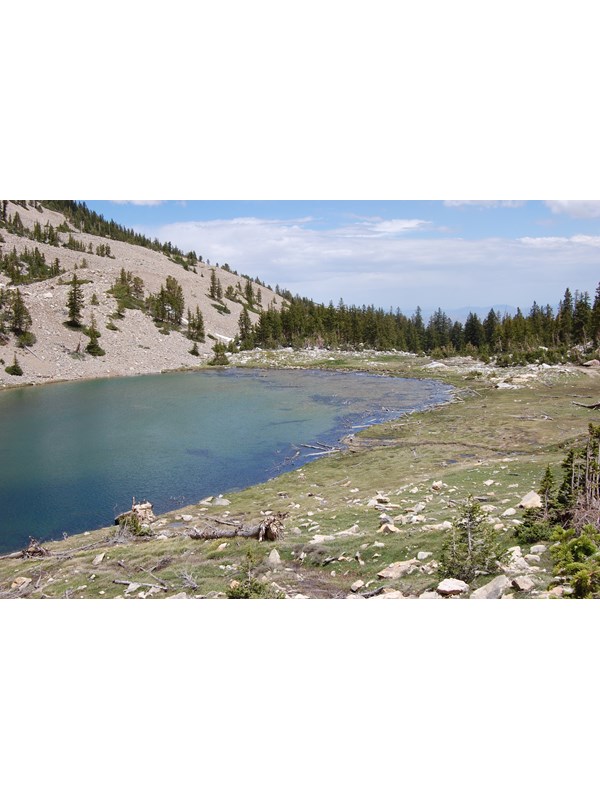 Mountain lake with downed trees on shore line