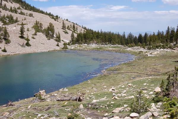 Mountain lake with downed trees on shore line