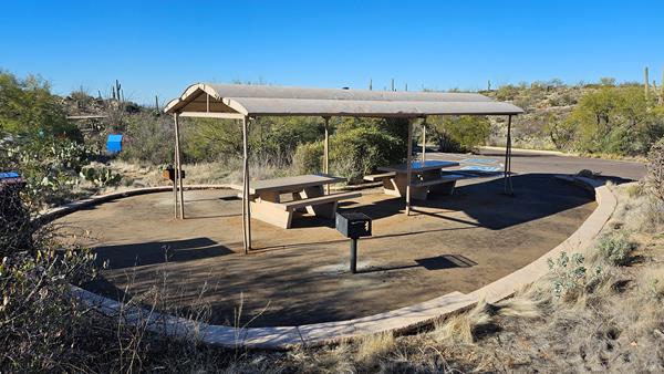 Two wheelchair accessible picnic tables under a large shade structure, surrounded by desert plants