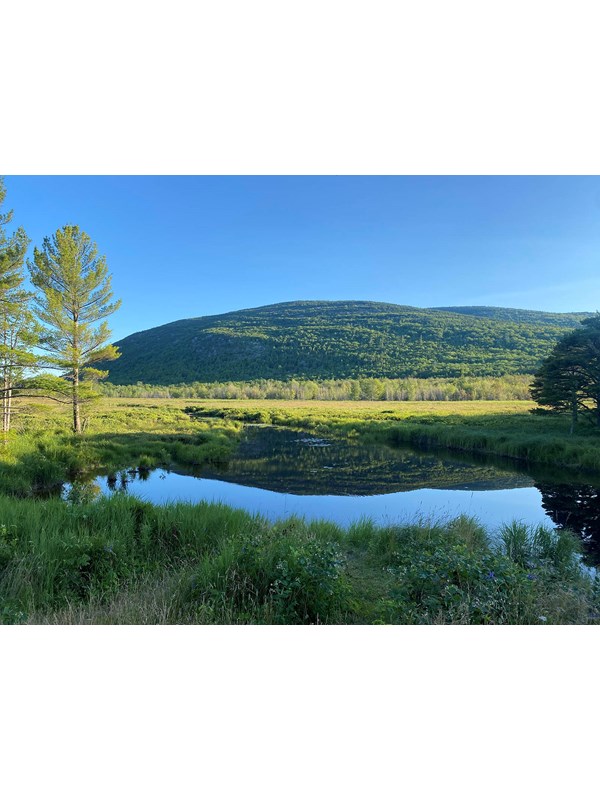 Two sunlit green mountains are reflected in a pool of water with grasses under a clear blue sky.