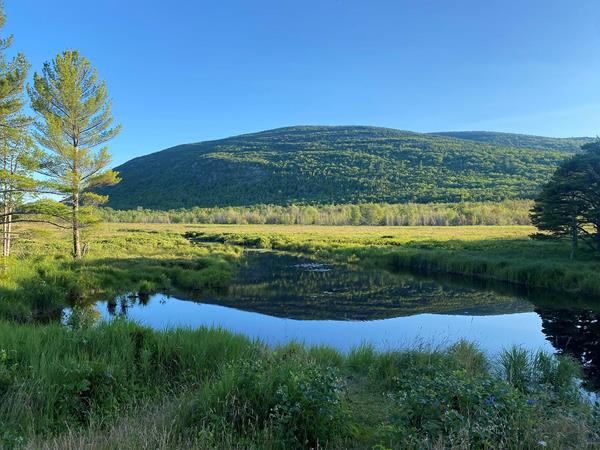 Two sunlit green mountains are reflected in a pool of water with grasses under a clear blue sky.