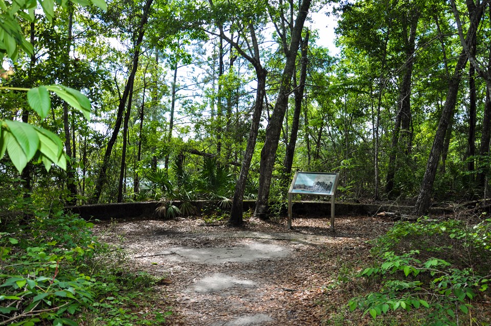 A clearing with a sign in the middle is surrounded by trees.