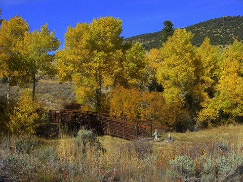 Yellow Fall Colors on aspen trees surrounding a bridge that two children approach.