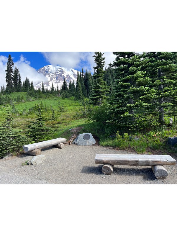 Two benches next to a small gray rock with bronze plaque in center surrounded by trees and mountain