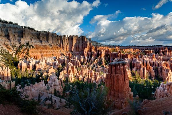 An overhead view of red rock formations with a blue sky in the background