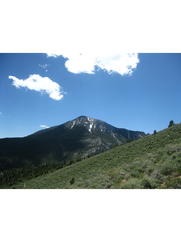 Green meadow with mountain peak in background