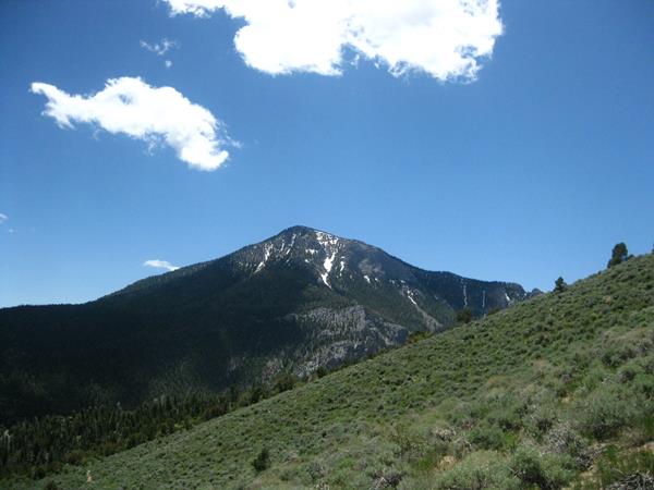 Green meadow with mountain peak in background