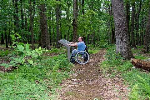 A man sitting in a wheelchair reading a wayside panel in a forest.