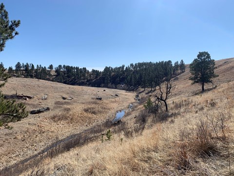 A creek runs alongside the trail, surrounded by prairie grasses
