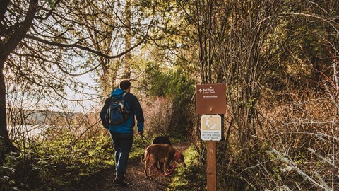 A hiker and his dogs walk along a forested trail