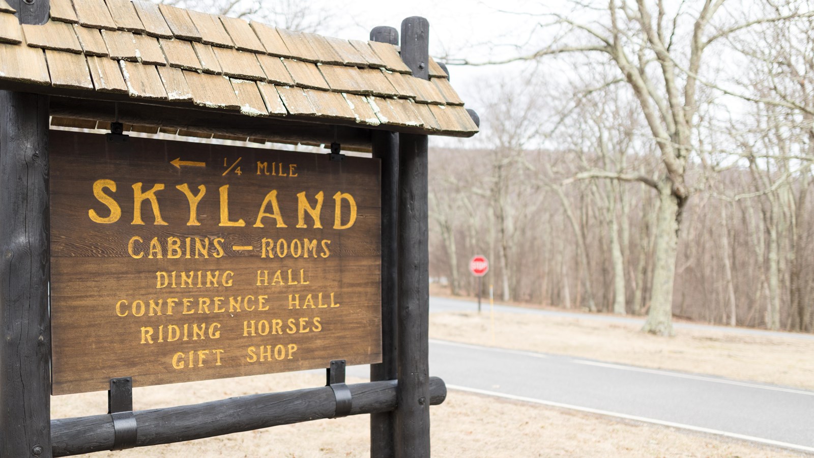 A color photograph of a historical wooden sign for Skyland.