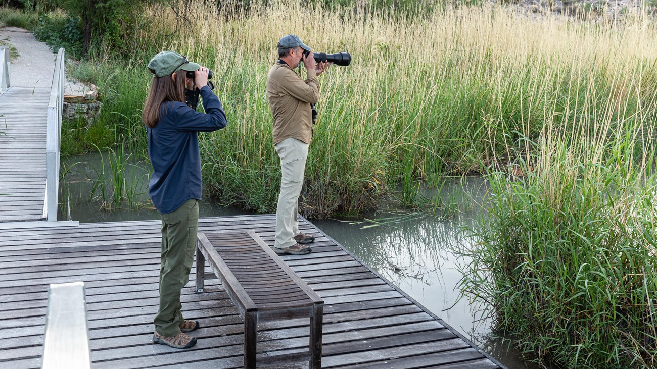 Birdwatchers use a camera and binoculars to look for birds along the RGV Nature Trail.