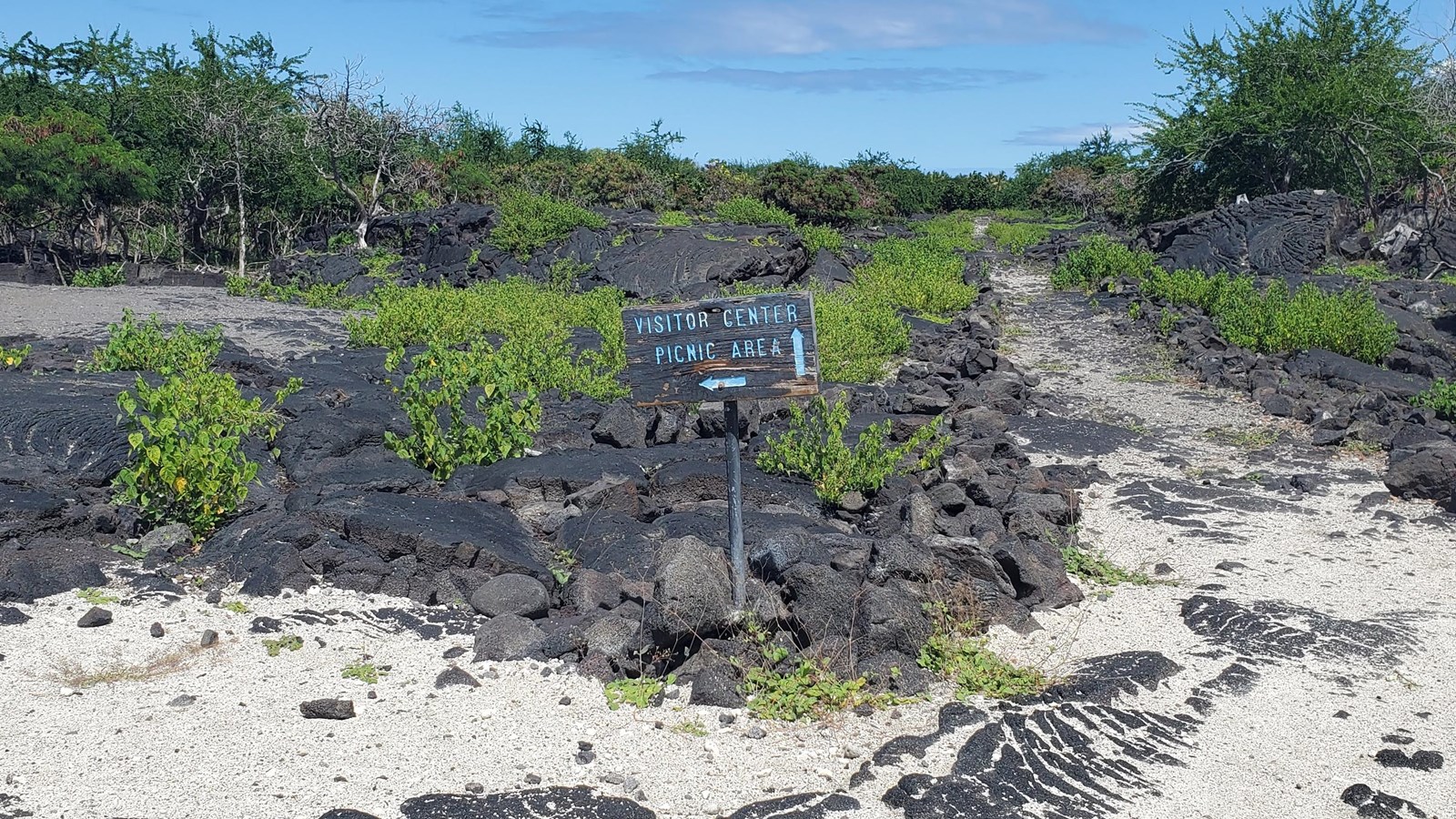 A sign stands at the junction of two trails. Sign text reads Visitor Center, Picnic Area with arrows