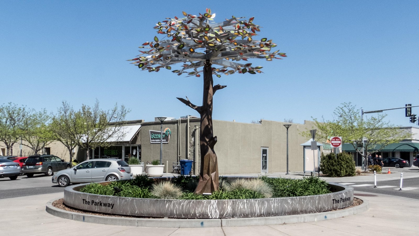  Color photograph of a traffic circle with a tree planted in the center. 
