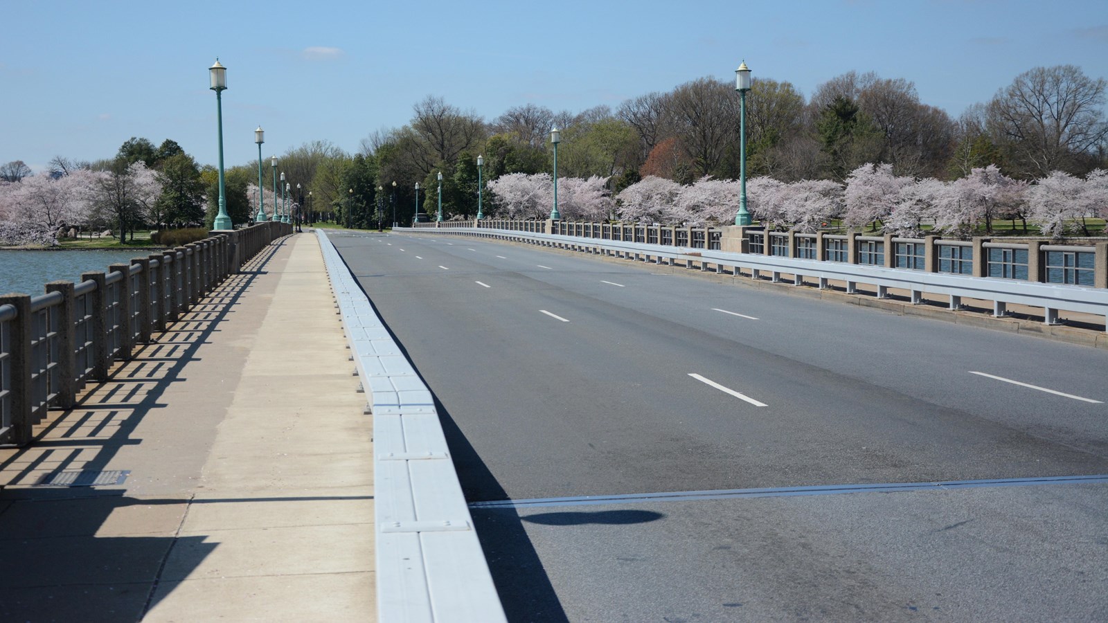 Three lane bridge with water on either side and cherry blossoms in the background