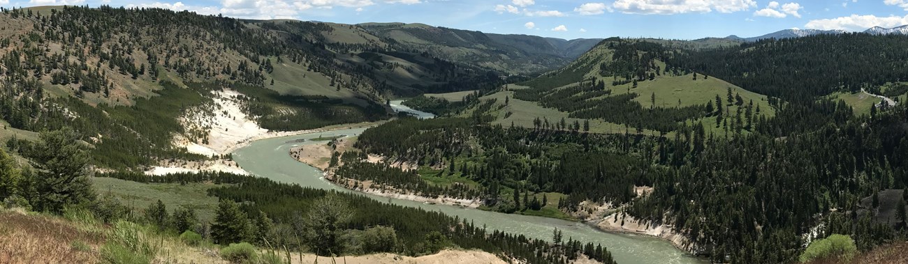 The Yellowstone River cuts an s-shaped curve through the valley near Tower Fall.
