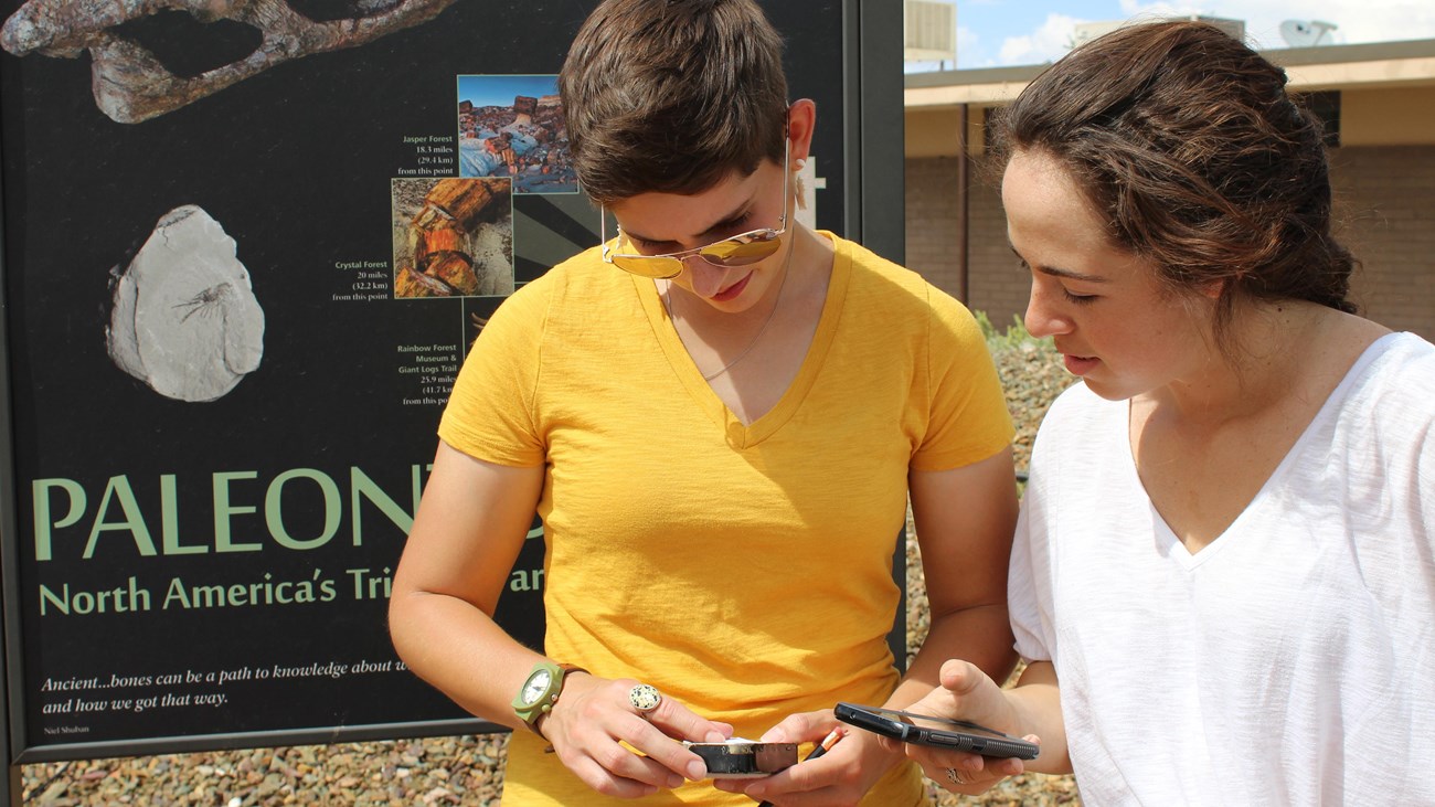 Two women looking at their devices in front of an exhibit outdoors