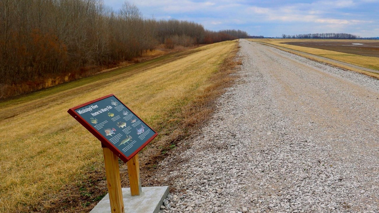 A wayside side along a gravel trail