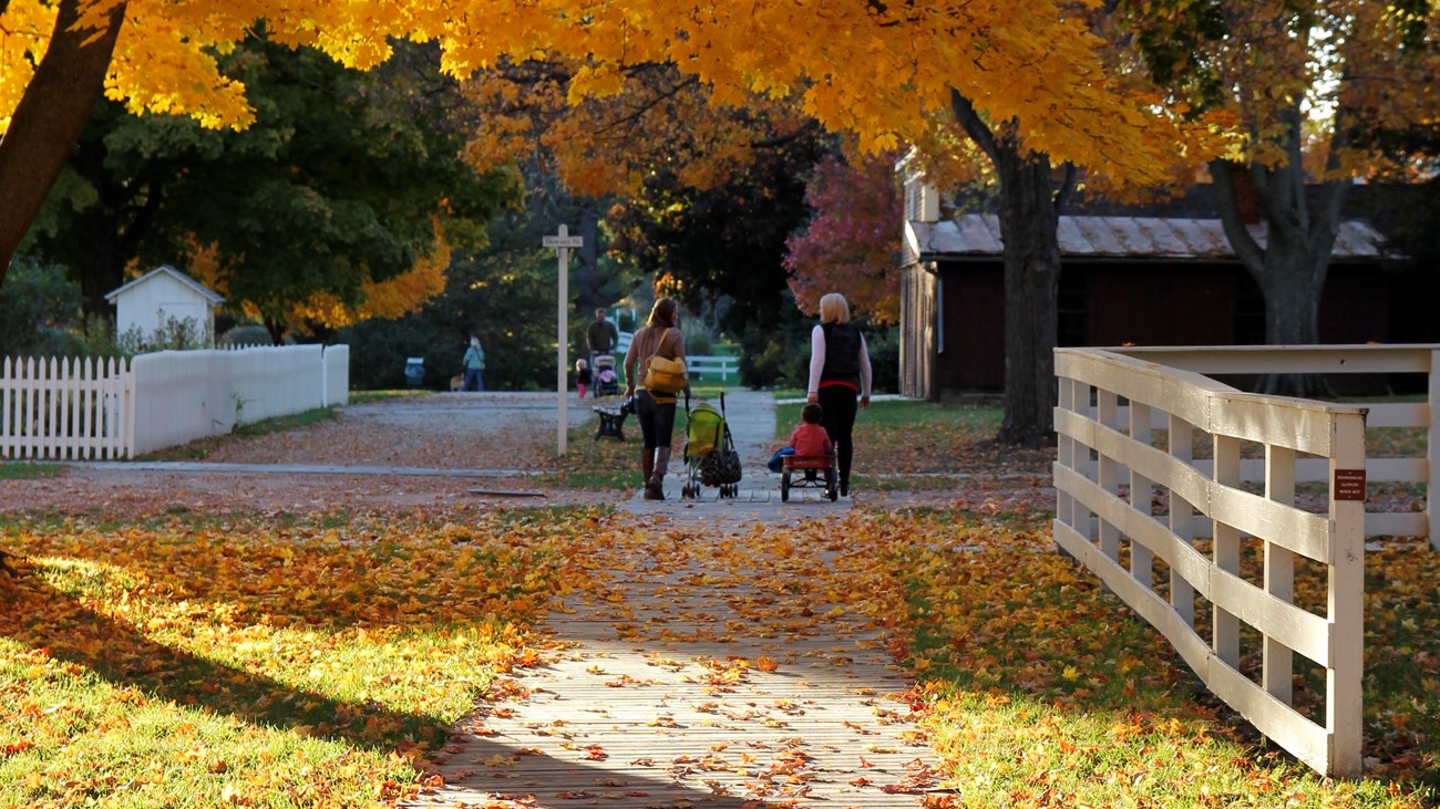 Mothers walk with their young children in a park with bright autumn foliage.