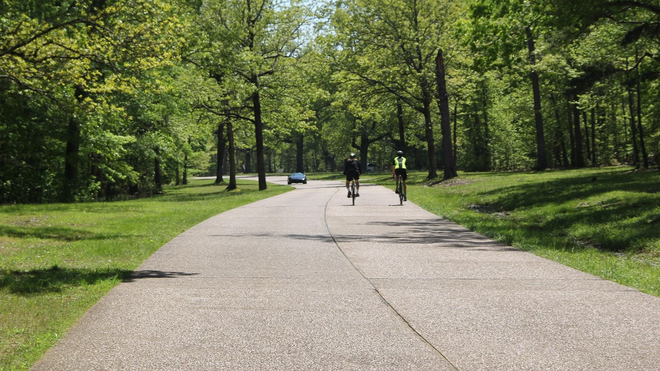 Two bikers riding away from the camera. 