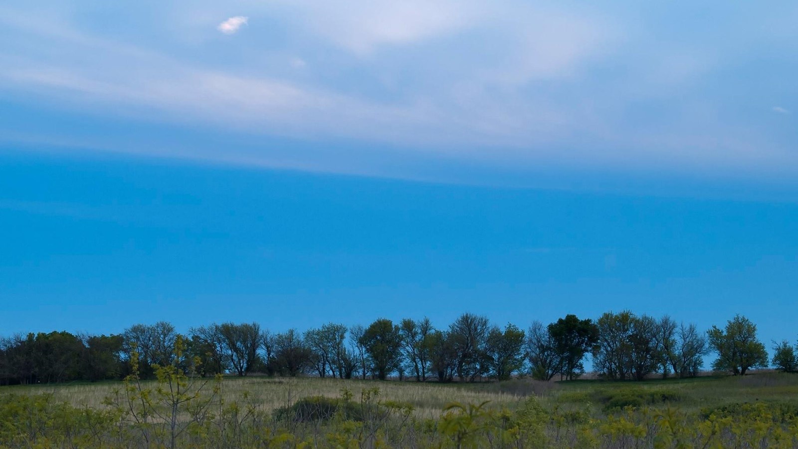 A treeline separates the tallgrass prairie from the blue sky in the late evening.