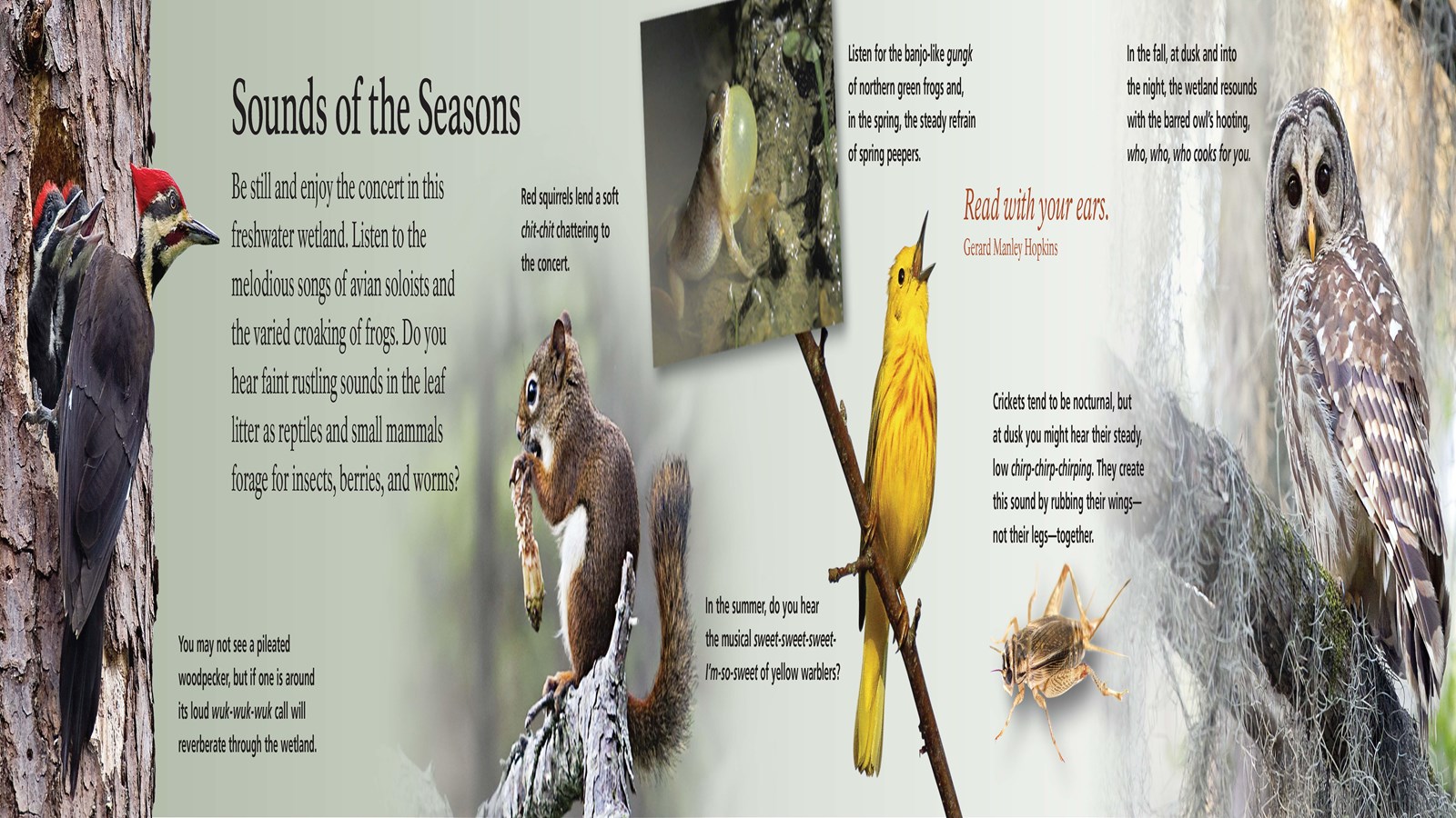 Partial image of an interpretive wayside entitled 
