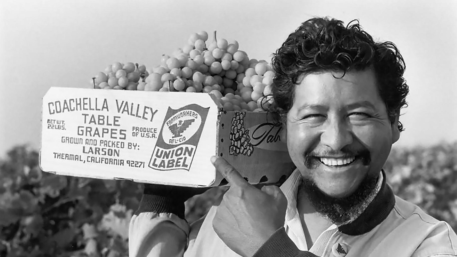 A smiling man holds a wooden crate full of grapes that he is pointing to