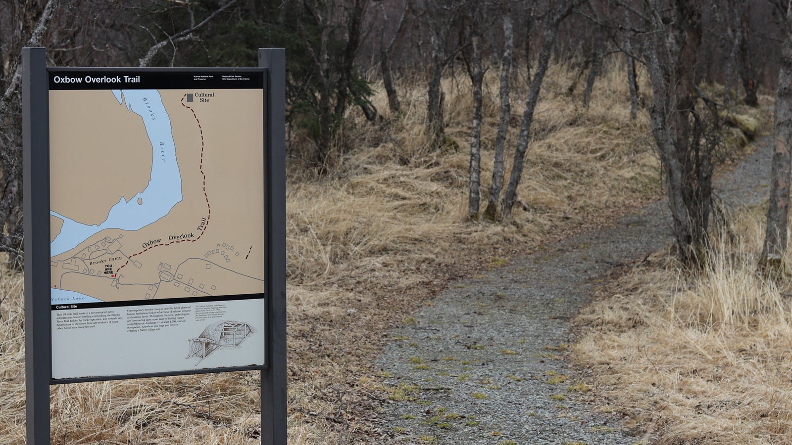 A trailhead sign next to a path