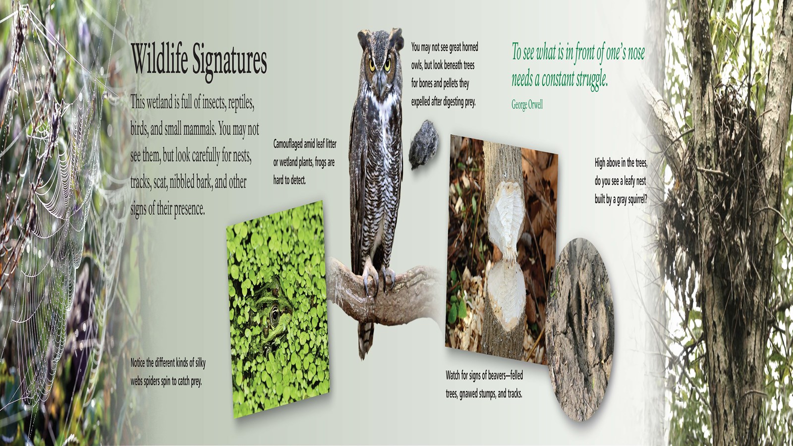 Partial image of an interpretive wayside entitled 