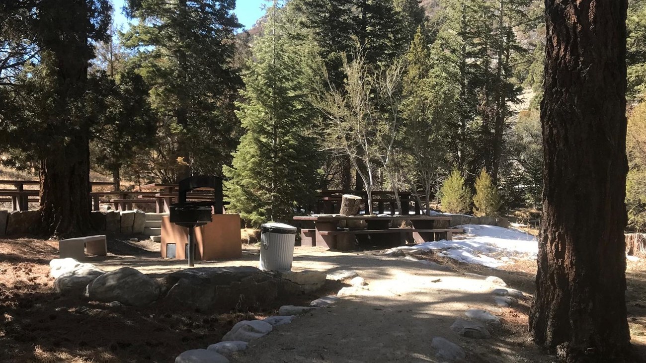 large tree casting shadow on grills and picnic tables