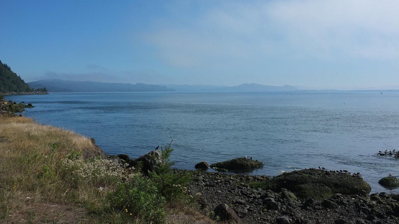 The waters of Hungry Harbor and its rocky seashore with sparse plantlife