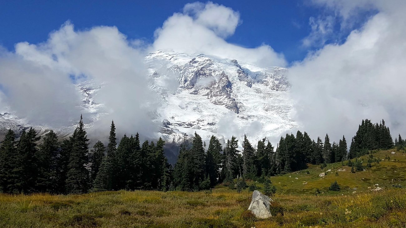 Clouds partly cover a glaciated mountain that rises above a meadow and forest.