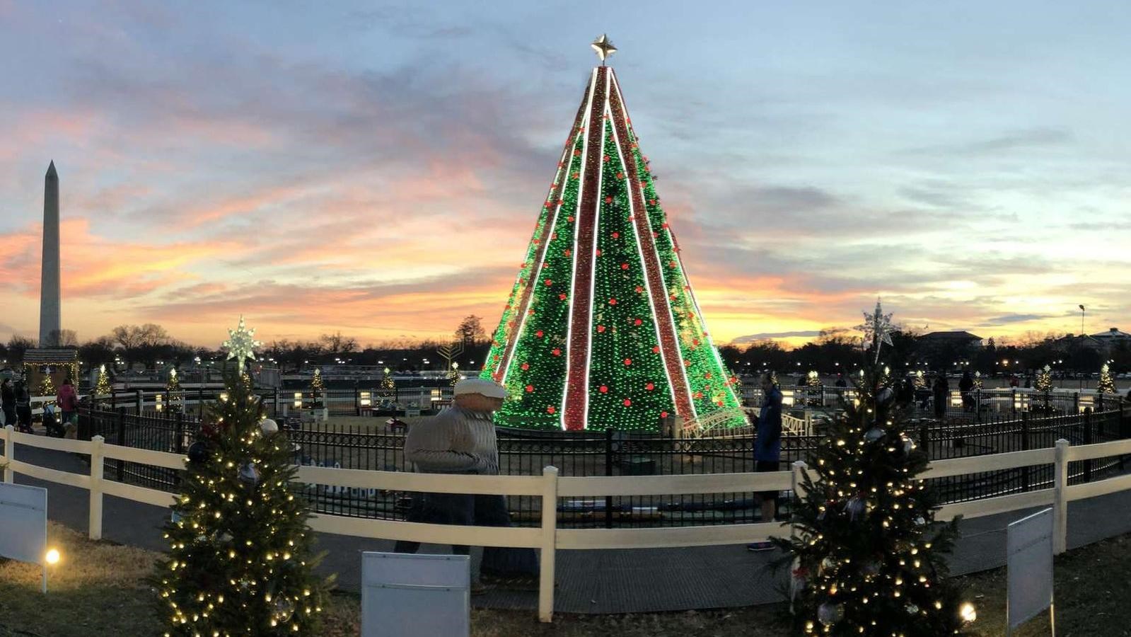 National Christmas Tree site with smaller Christmas trees surrounding it.