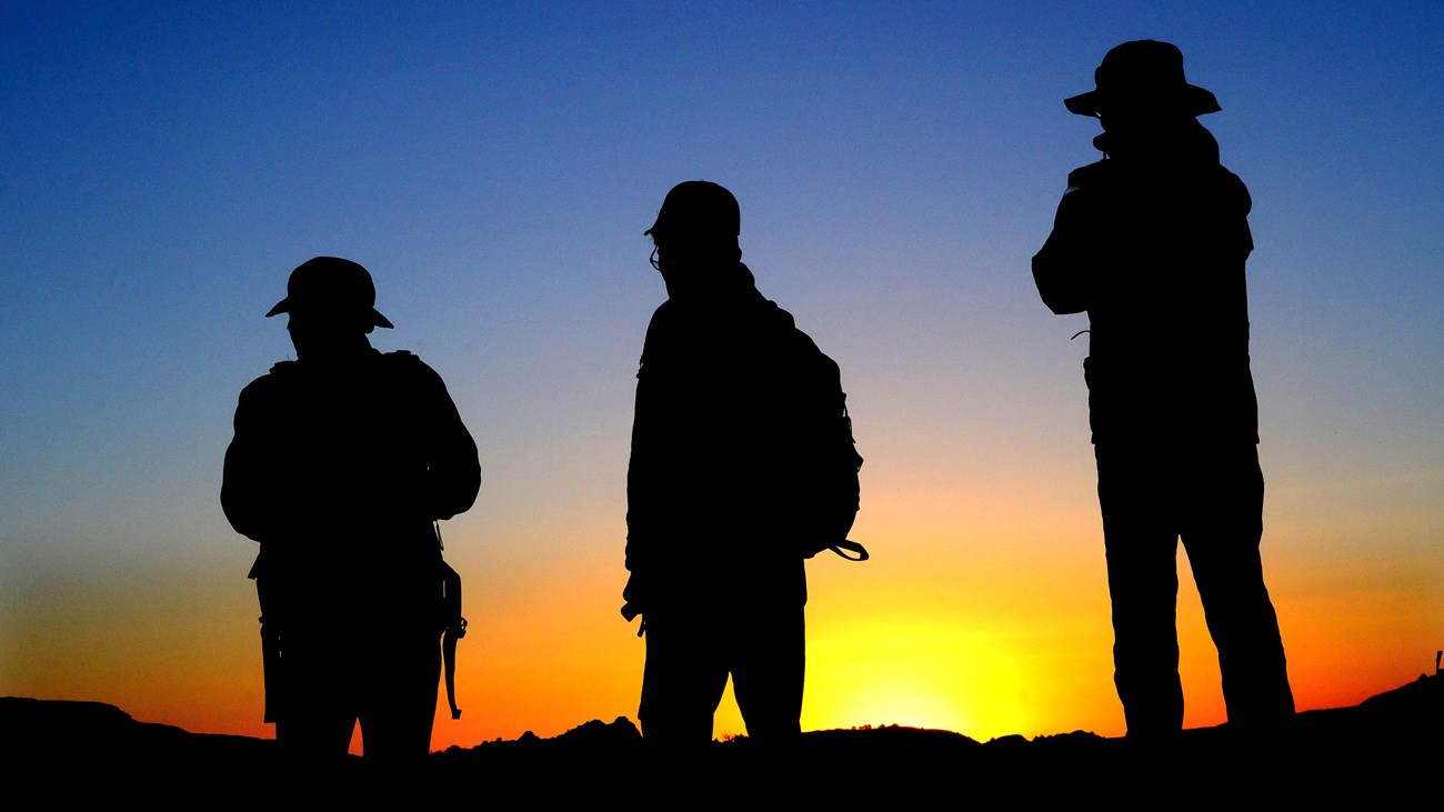 Three hikers silhouetted by the sunset