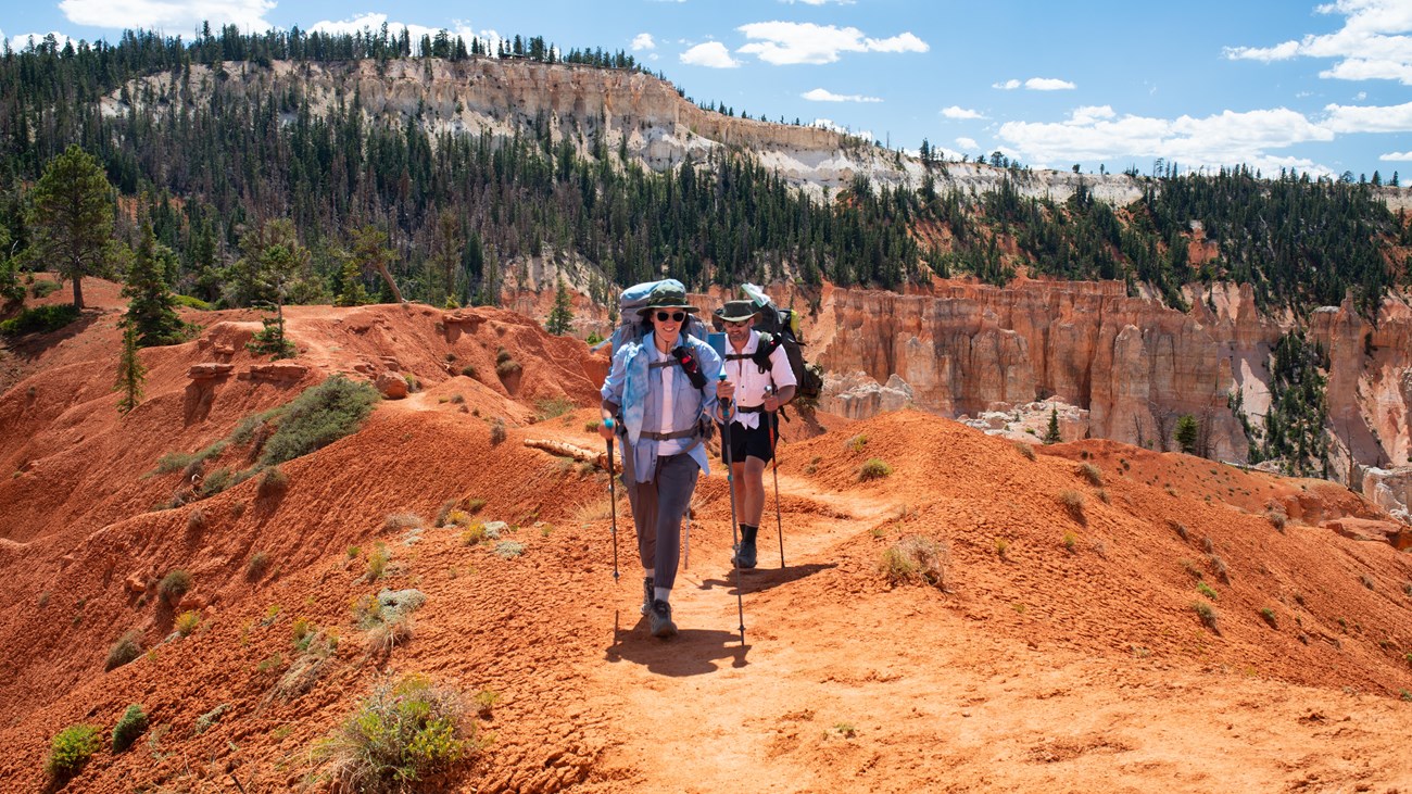Two hikers wearing backpacks and using poles along a red rock path surrounded by forested cliffs.