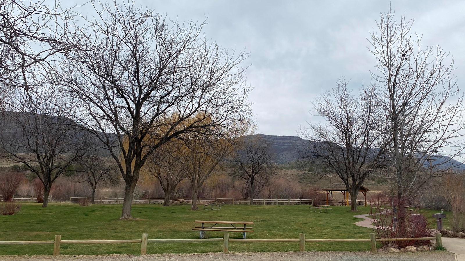 Grassy area behind a 6 inch high wooden fence with a picnic table and trees.