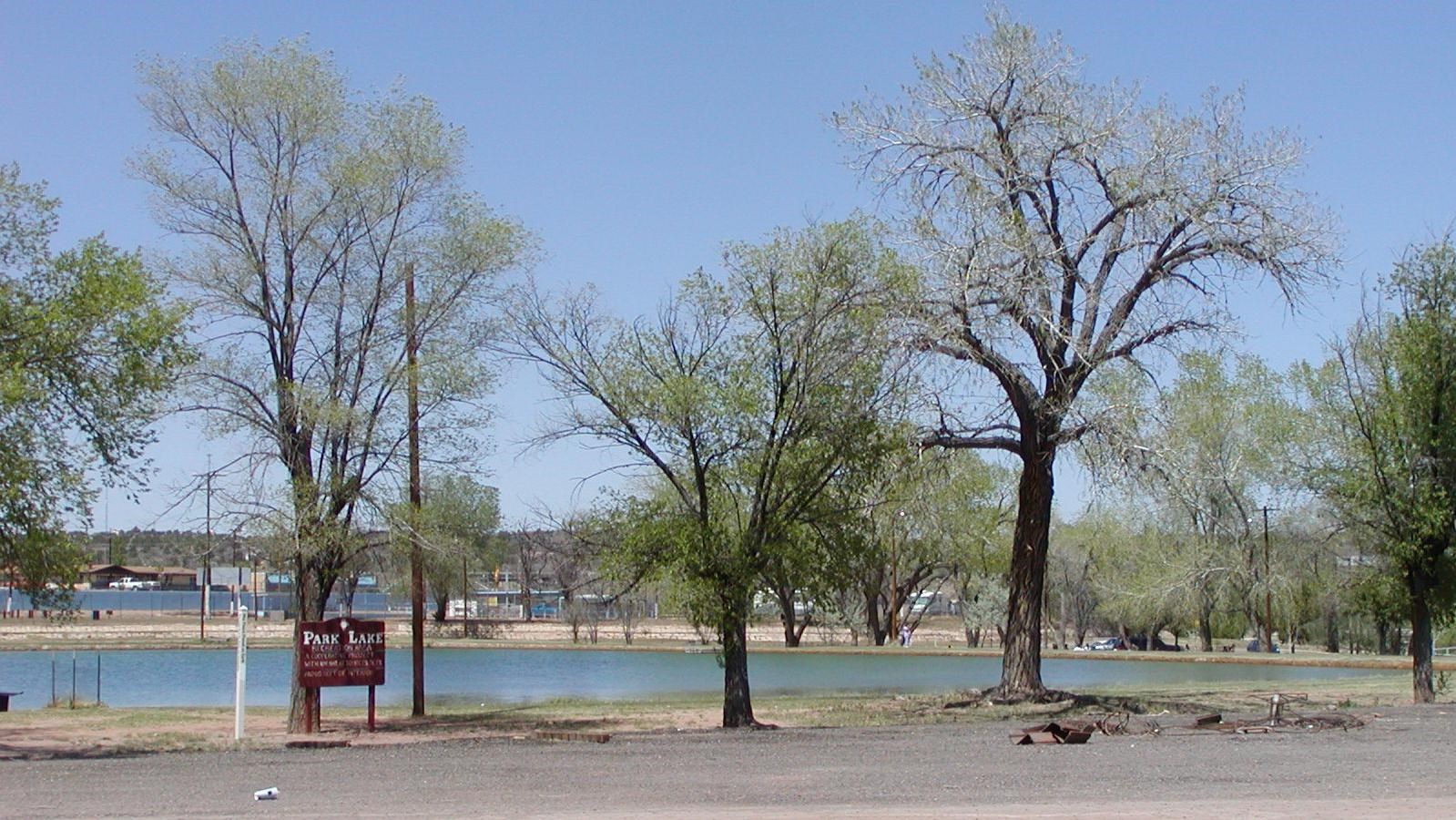 A small lake surrounded by trees.