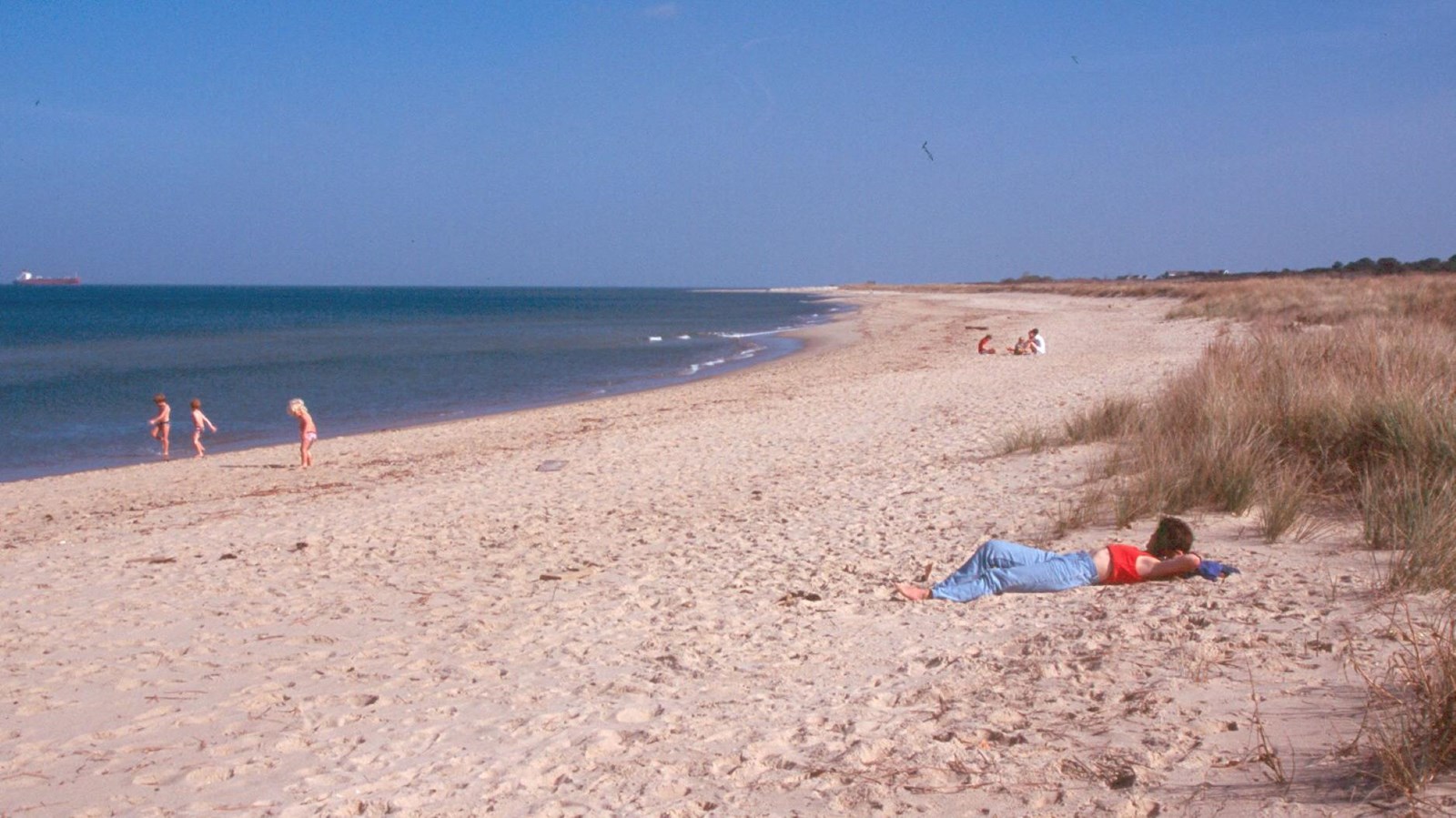 Beachgoers sunbath and play near the water. 