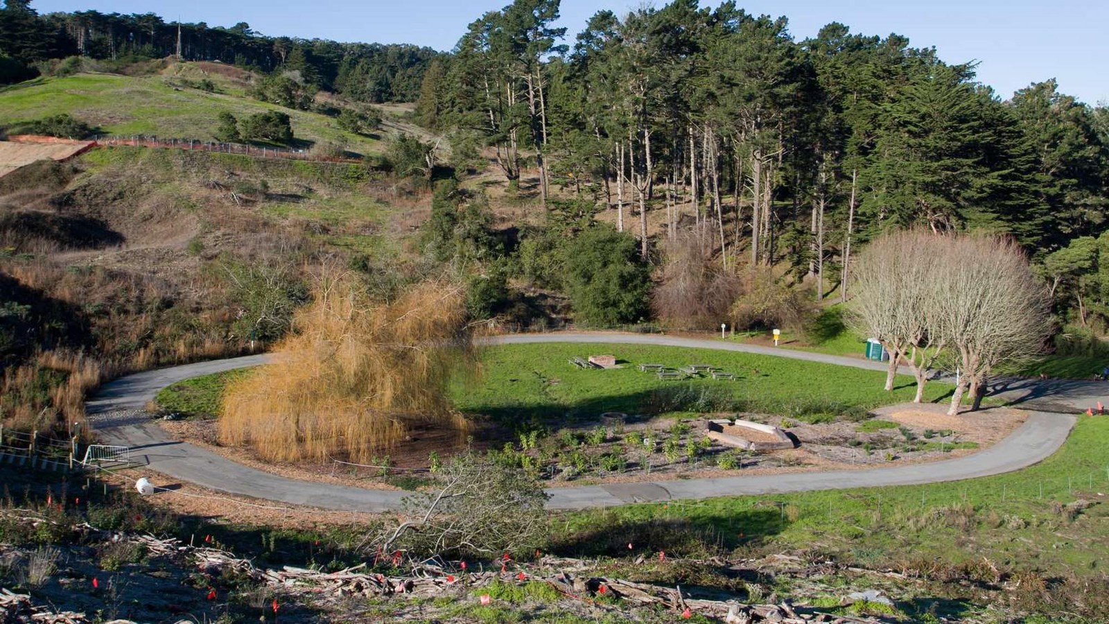 Circular road in El Polín area with grass and trees and a grassy ridge behind.