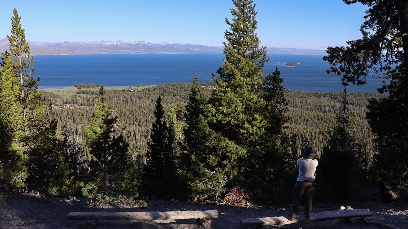 A hiker looks down from a vantage point across a forest to a large lake.