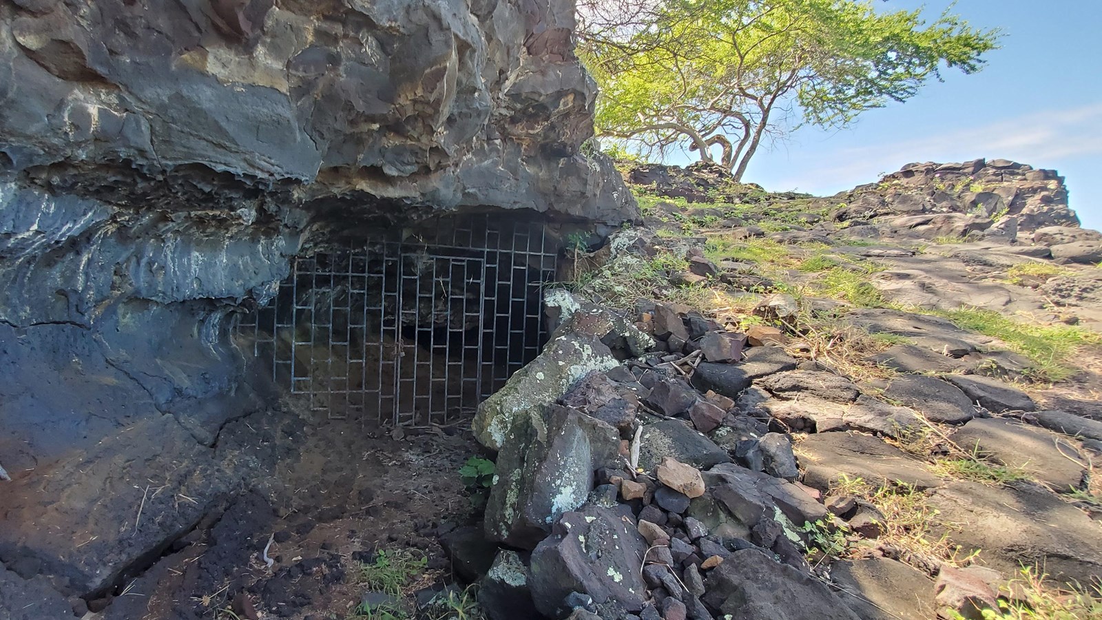 A metal gate covers the opening to a small cave entrance in the lava rock