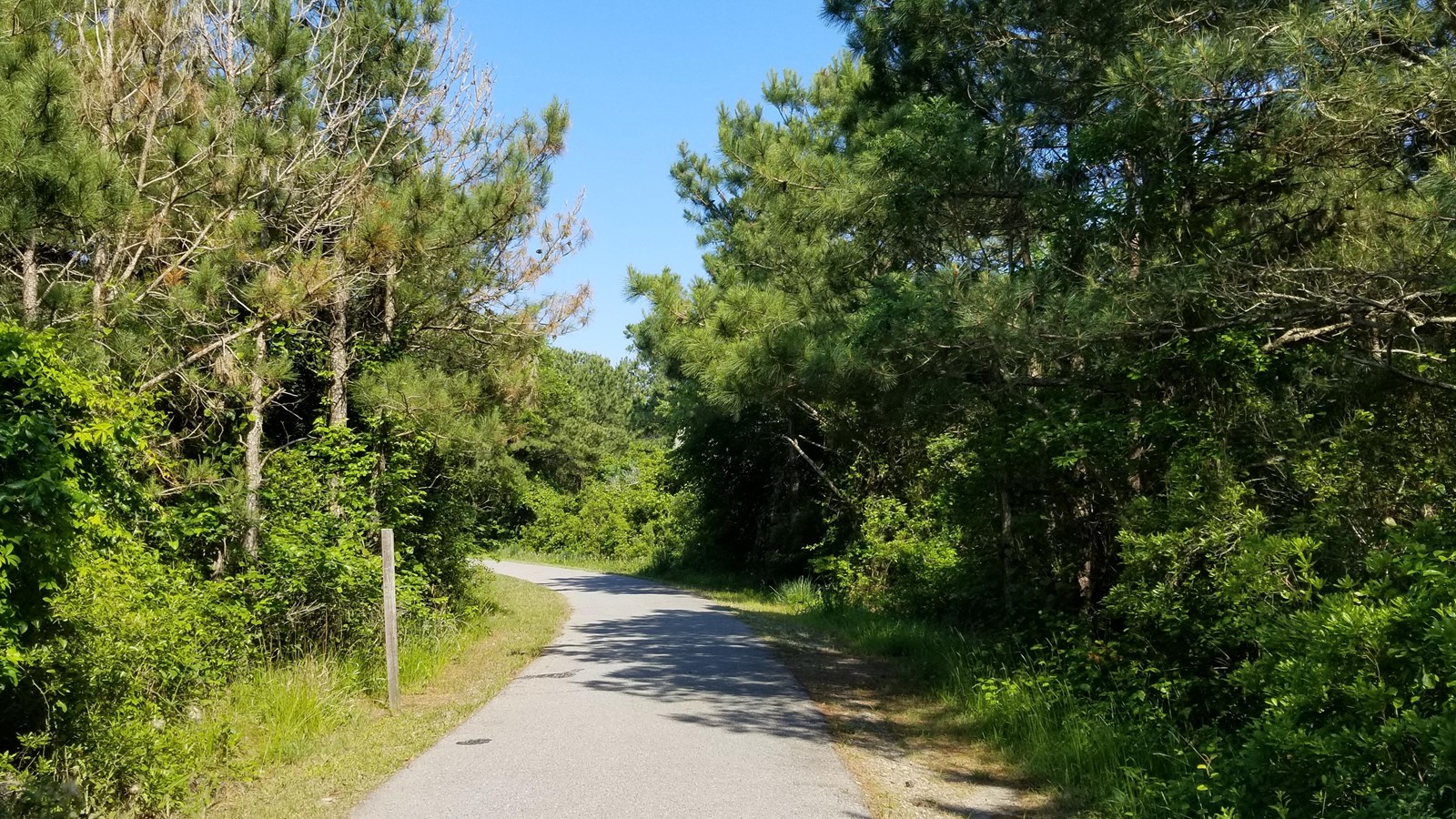 Entrance to the Swan Cove Trail