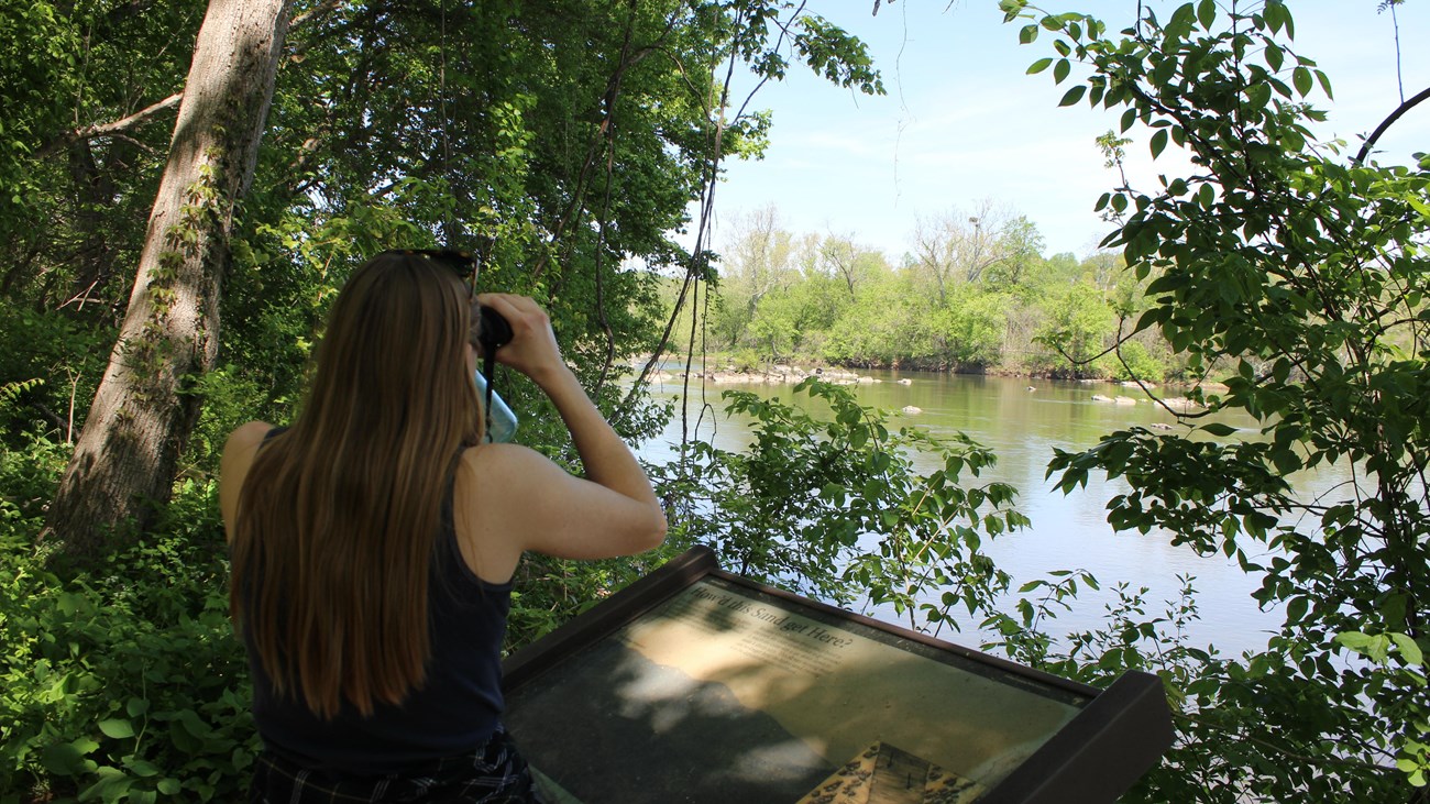 Person on a trail looking through binoculars at trees in the distance