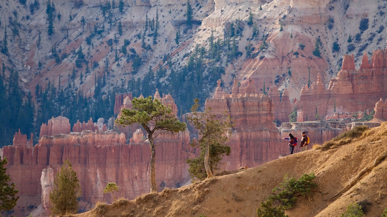 Two hikers descend down a trail from right to left with red rock formations in the background