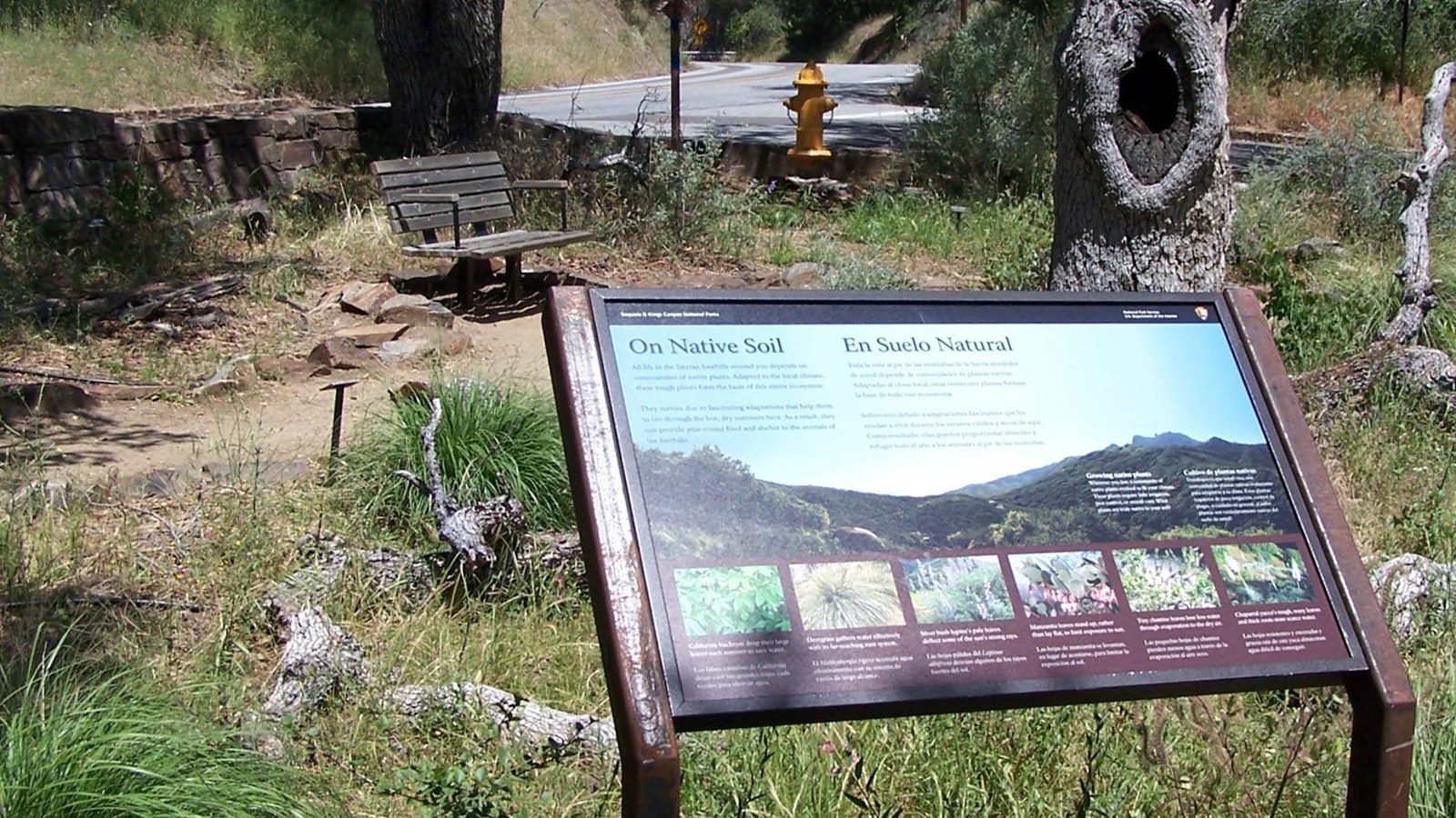 A sign titled On Native Soil talks about native plant species.