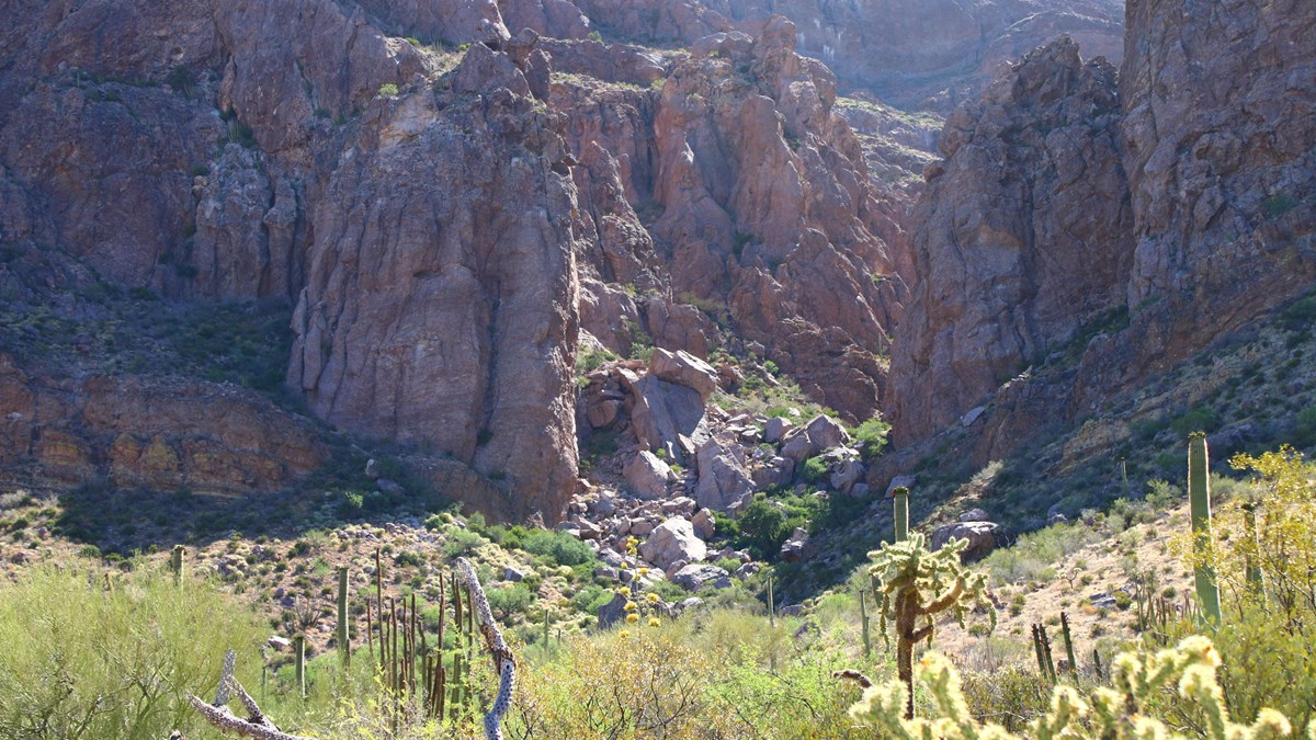 A rocky canyon filled with boulders and bright green Sonoran desert vegetation