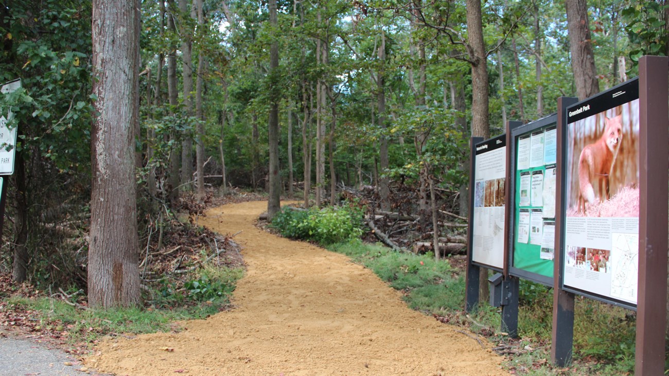 a trail in Greenbelt Park Maryland